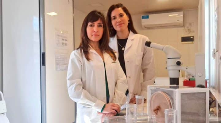 Laura Harburguer (izq.) y Paula Gonzalez, investigadoras del CONICET y autoras principales del trabajo.